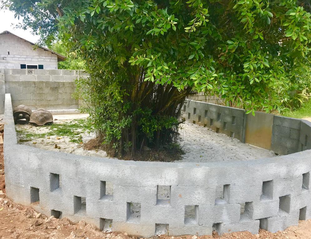 แคสตะเวย์ ลอดจ์ Villa Pointe Au Sel ภายนอก รูปภาพ